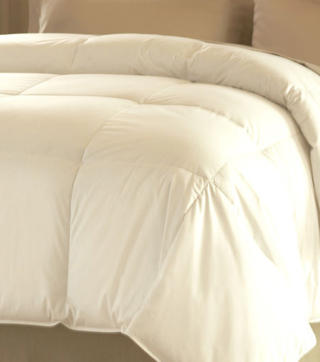 Dream Form Comforter